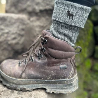 Jack Russell Terrier Owner Gift Men's Wool Blend Boot Socks with Cushion Sole from The House Of Dog x 2 PAIRS. One Size Men's 6-11