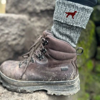 Irish Red Setter Owner Gift Men's Wool Blend Boot Socks with Cushion Sole from The House Of Dog x 2 PAIRS. One Size Men's 6-11