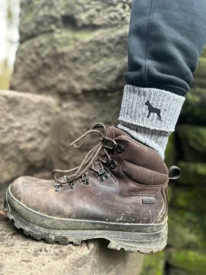 Boston Terrier Owner Gift Men's Wool Blend Boot Socks, Cushion Sole from The House Of Dog x 2 PAIRS. One Size Men's 7-11