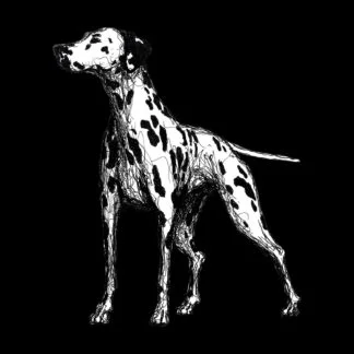Dalmatian Owner Clothing Gift Printed Heavyweight Organic Cotton T-shirt Gift From The House Of Dog.