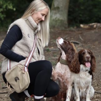 ENGLISH SPRINGER SPANIEL